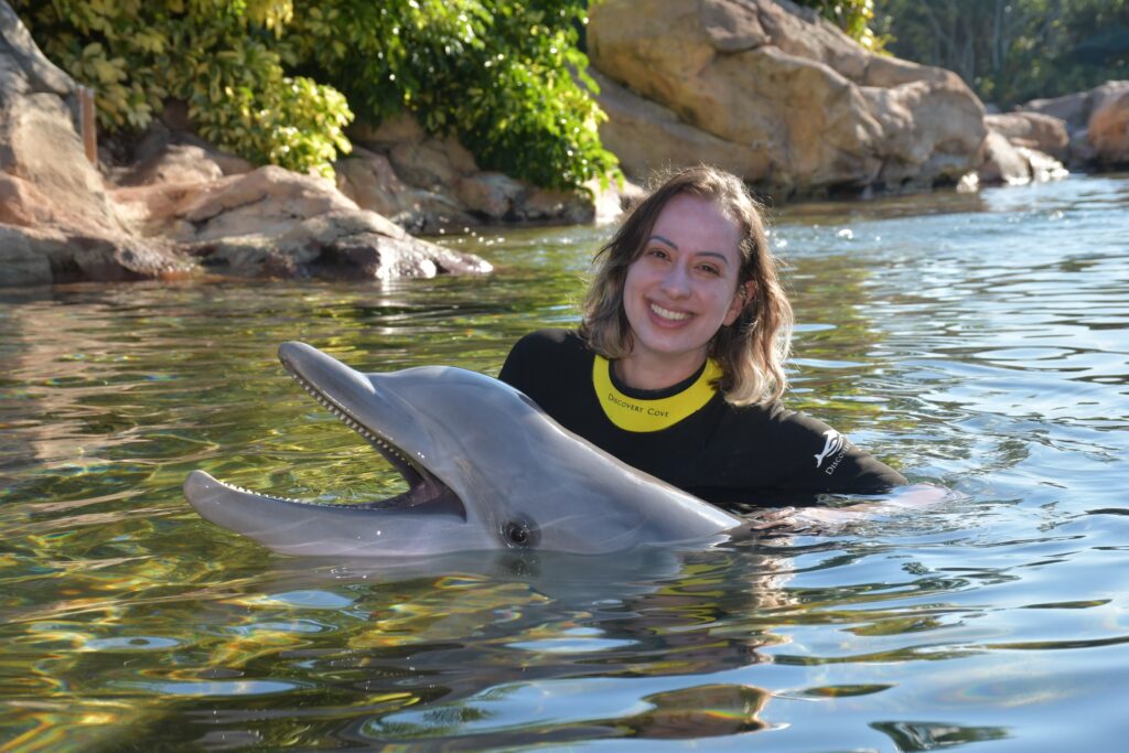Golfinho no Discovery Cove