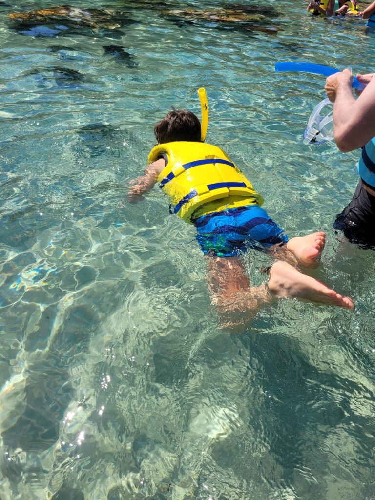 Menino mergulhando em piscina do Discovery Cove