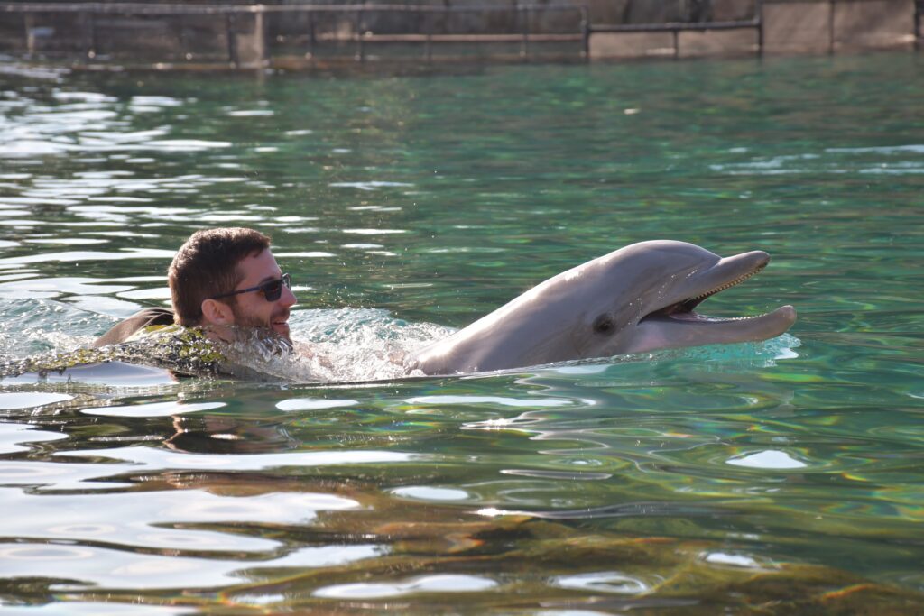 Homem nadando com golfinho no Discovery Cove