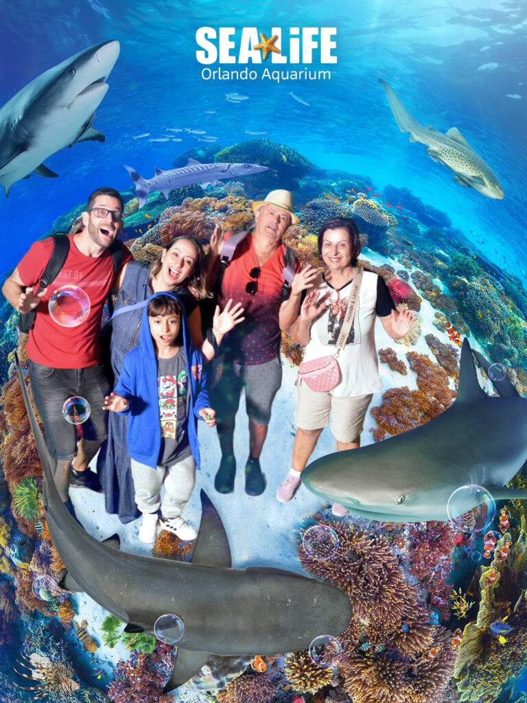 Família no Sea Life Orlando