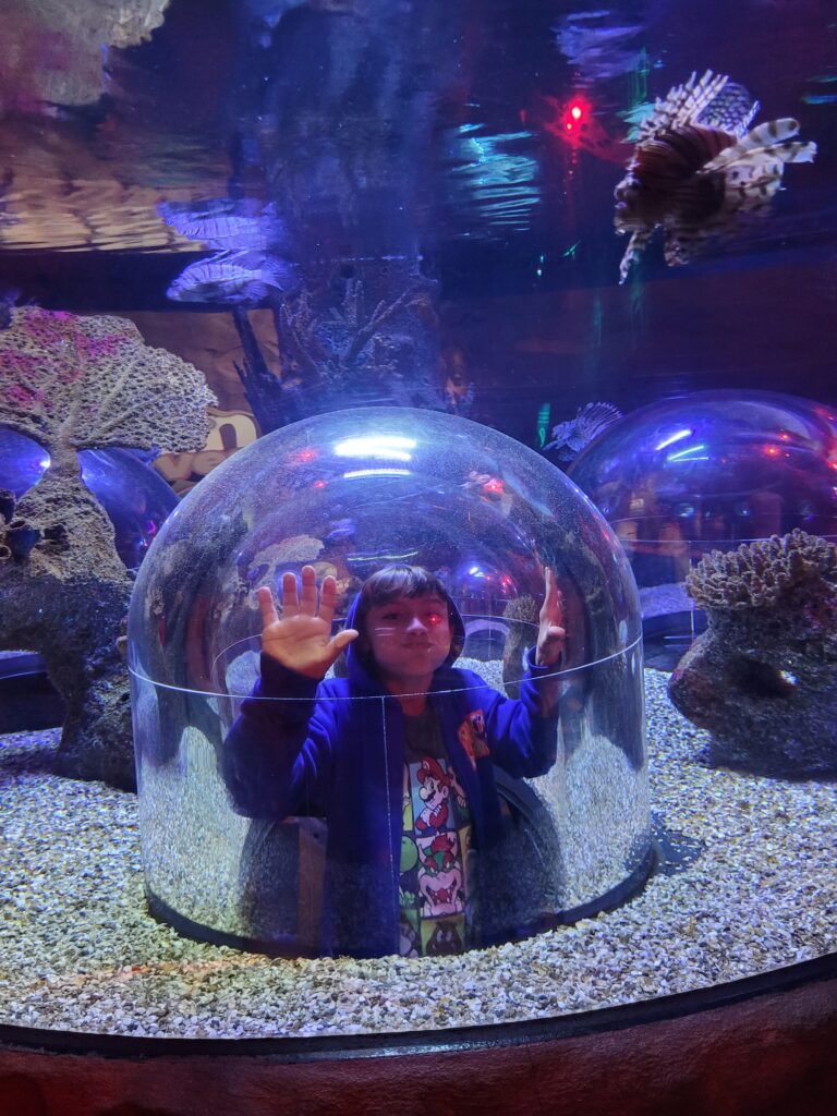 Menino no Aquário Sea Life Orlando