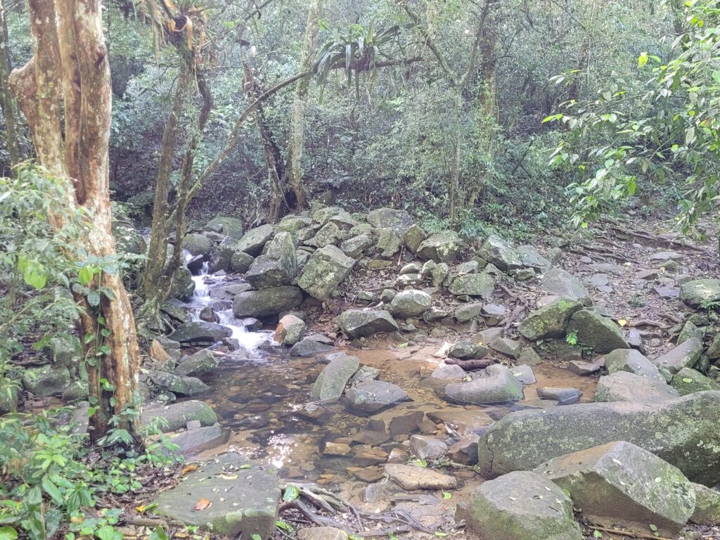 Trilha de Naufragados