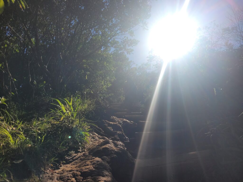 Trilha Lagoinha do Leste