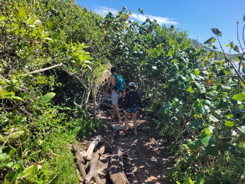 Trilha para Praia da Galheta