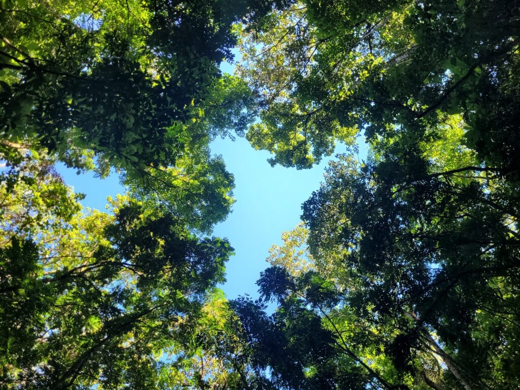 Cascata Nova Itália Park Hotel