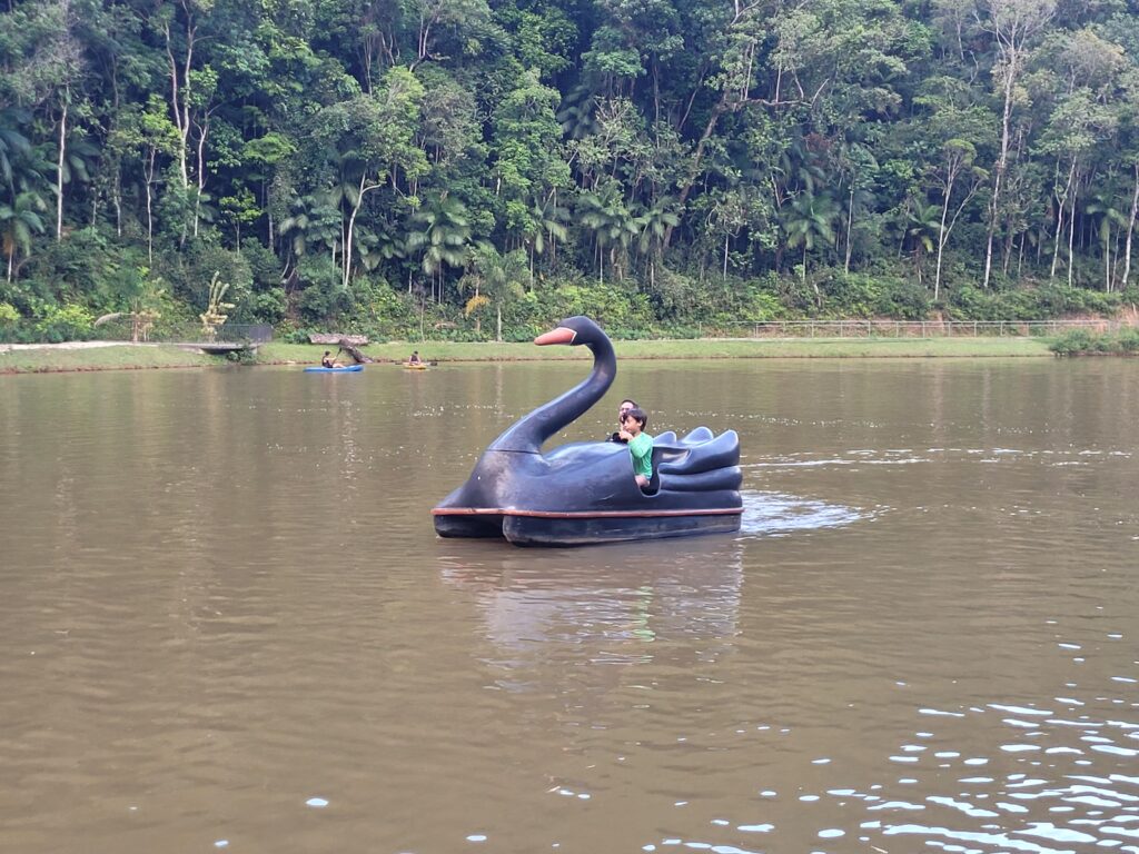 Pedalinho Nova Itália Park Hotel