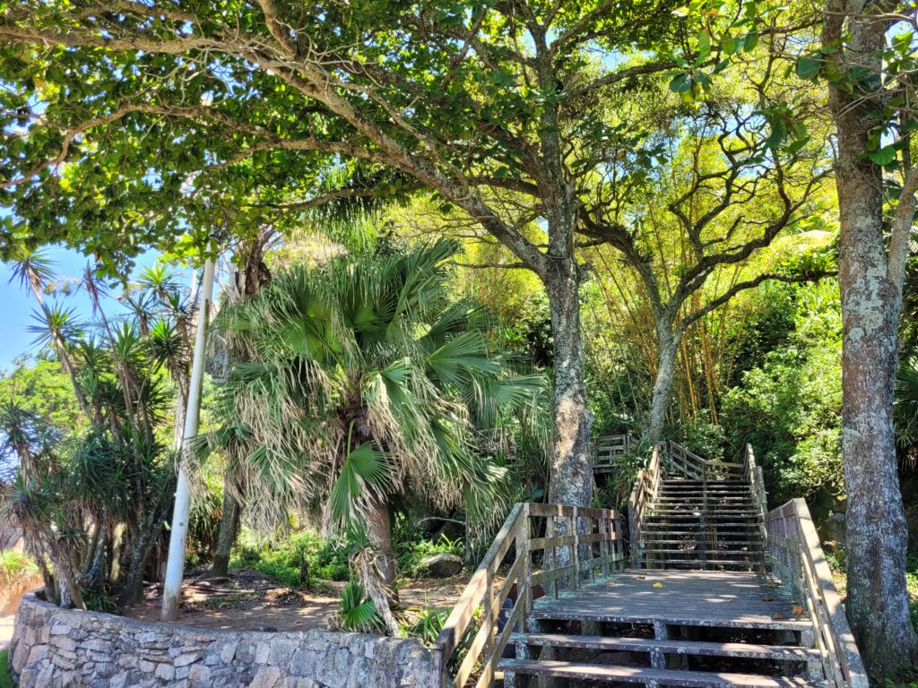 Mirante Praia das Palmeiras Florianópolis