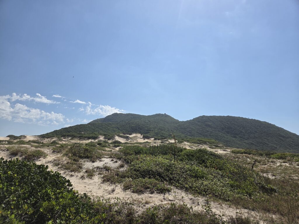 Praia do Moçambique lado Norte