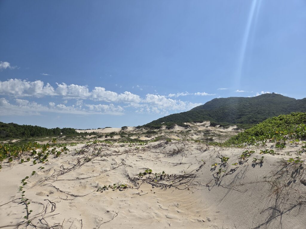 Praia do Moçambique lado Norte