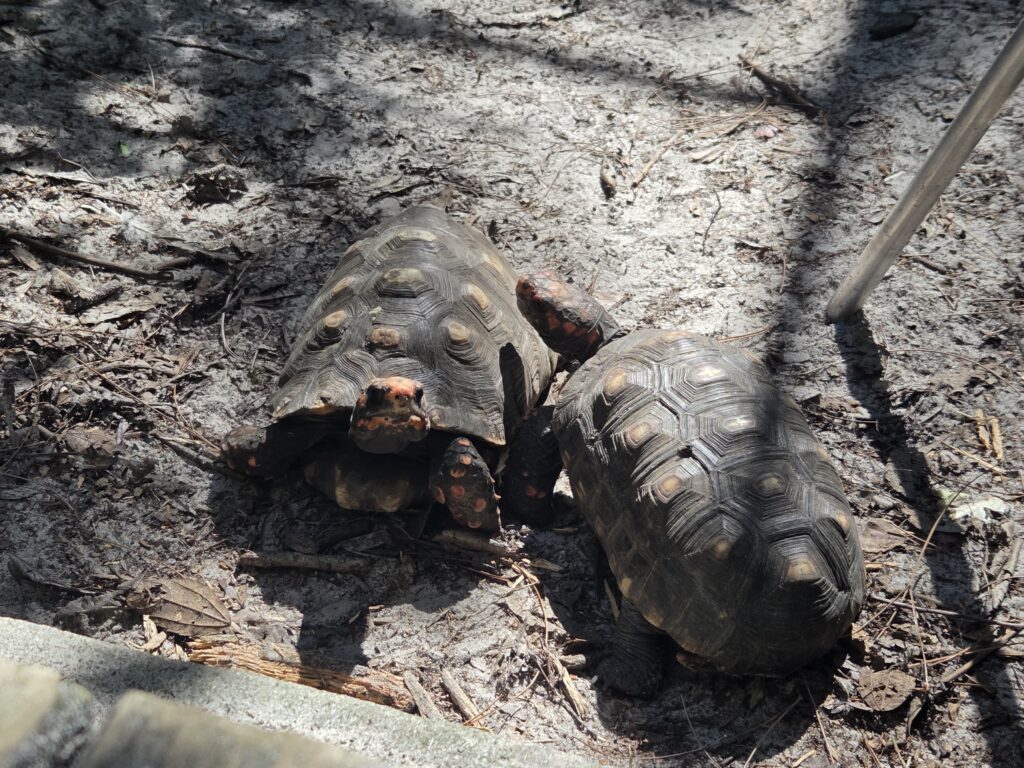 Trilha Ecológica do Rio Vermelho