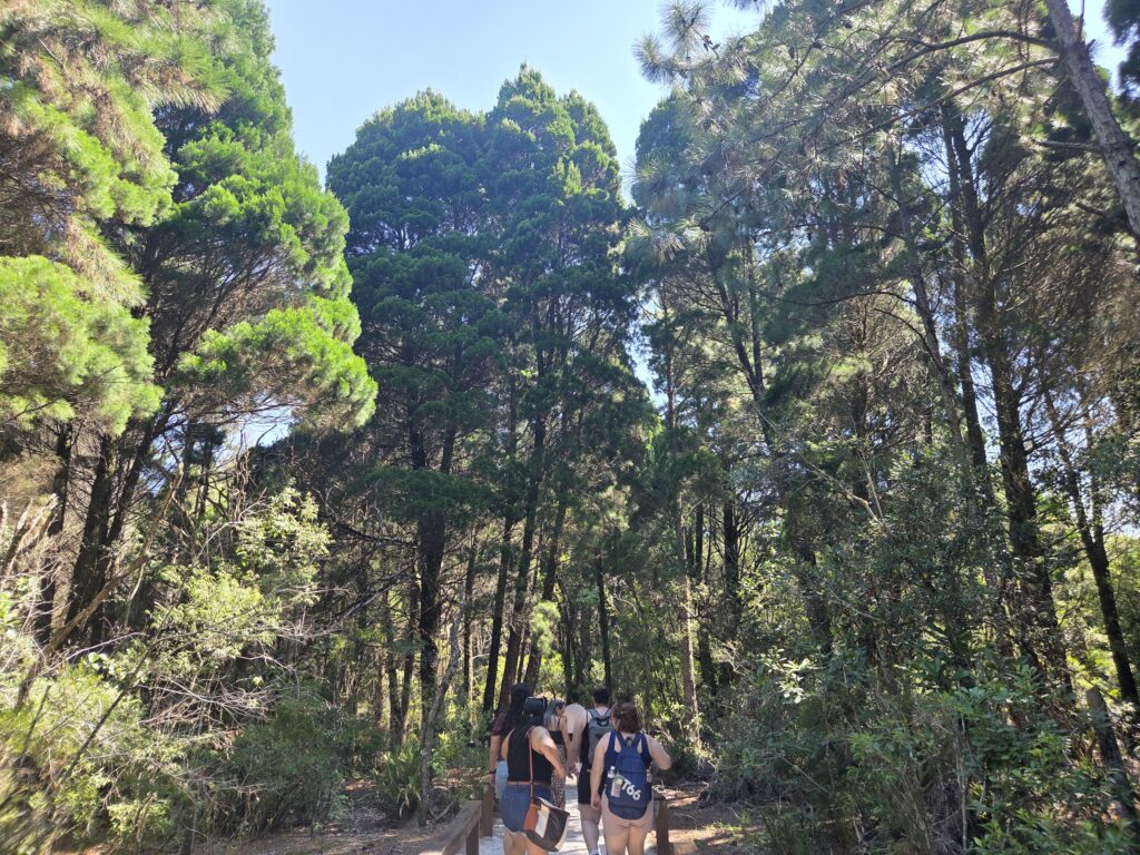 Trilha Ecológica do Rio Vermelho
