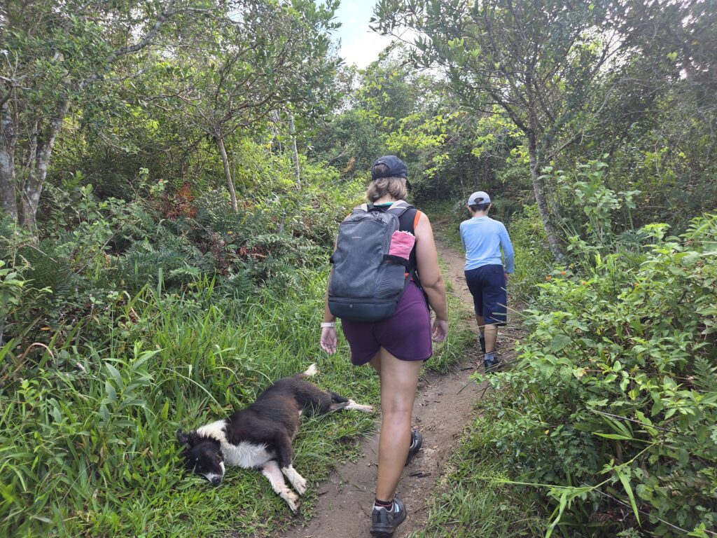 Trilha do Morro do Rapa