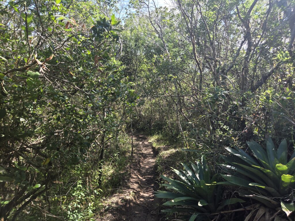 Trilha do Morro do Rapa