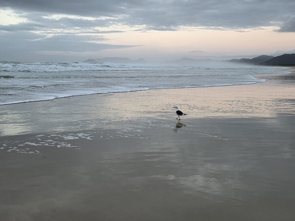 Amanhecer na Praia da Joaquina