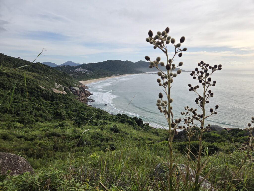 Trilha para Praia Secreta