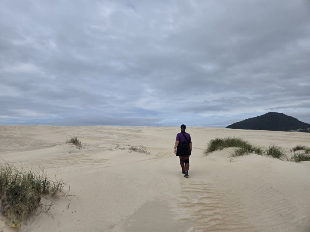 Dunas Praia dos Ingleses
