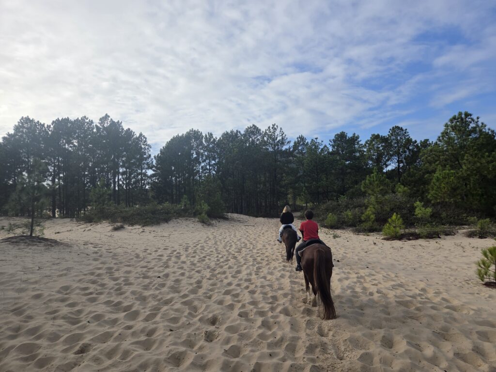 Passeio a Cavalo na Floresta Florianópolis