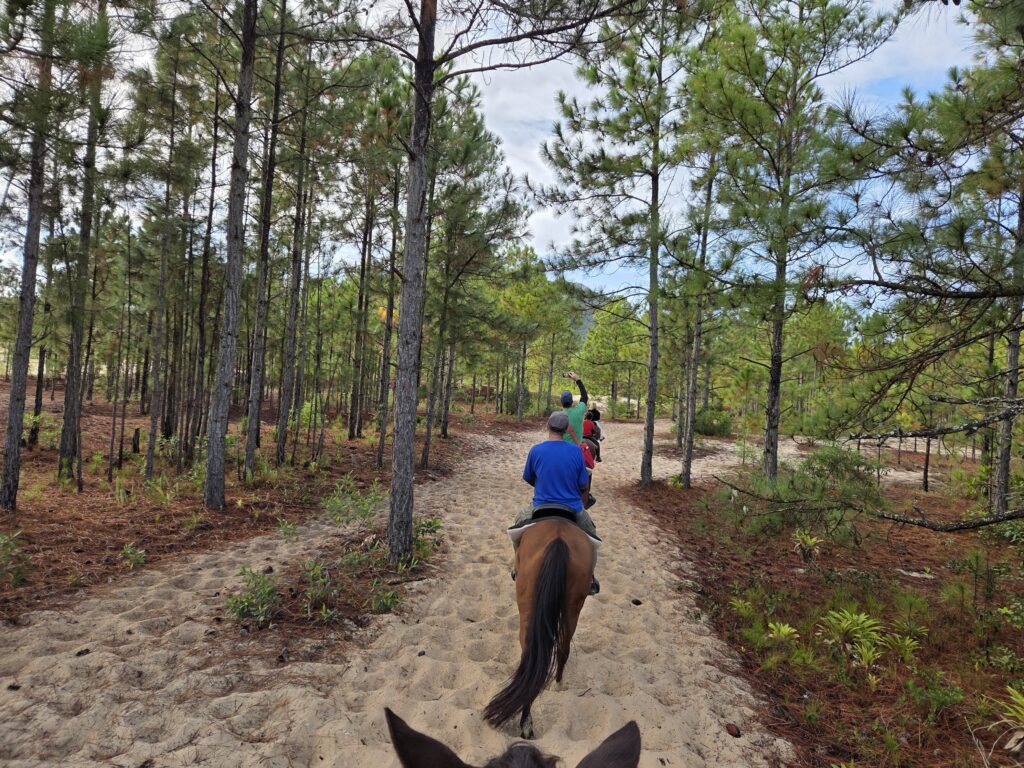 Passeio a Cavalo na Floresta Florianópolis
