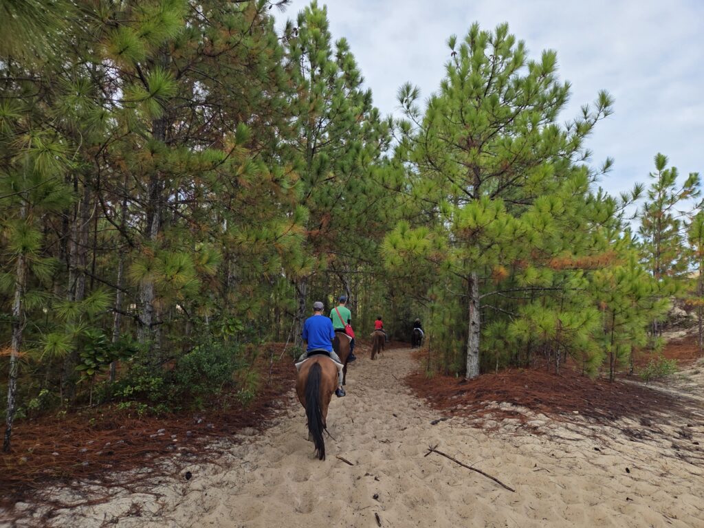 Passeio a Cavalo na Floresta Florianópolis