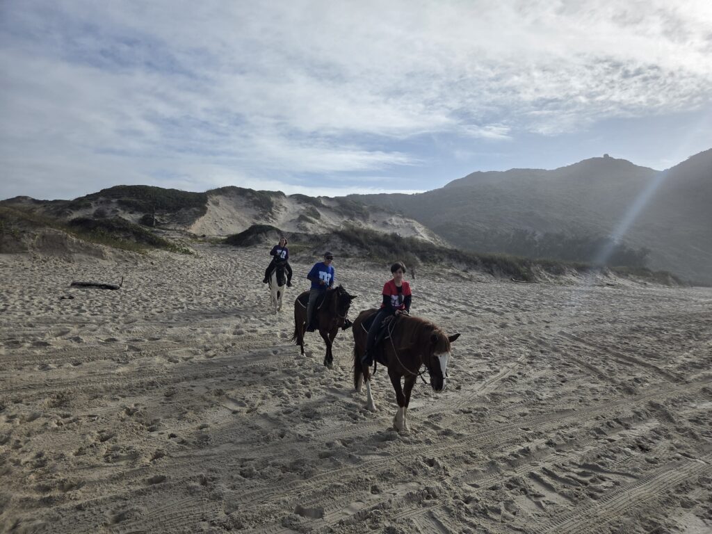 Passeio a cavalo praia Florianópolis