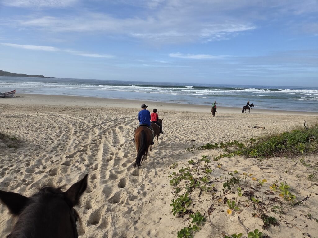 Passeio a cavalo praia Florianópolis