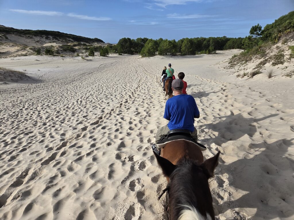 Passeio a Cavalo nas dunas Florianópolis
