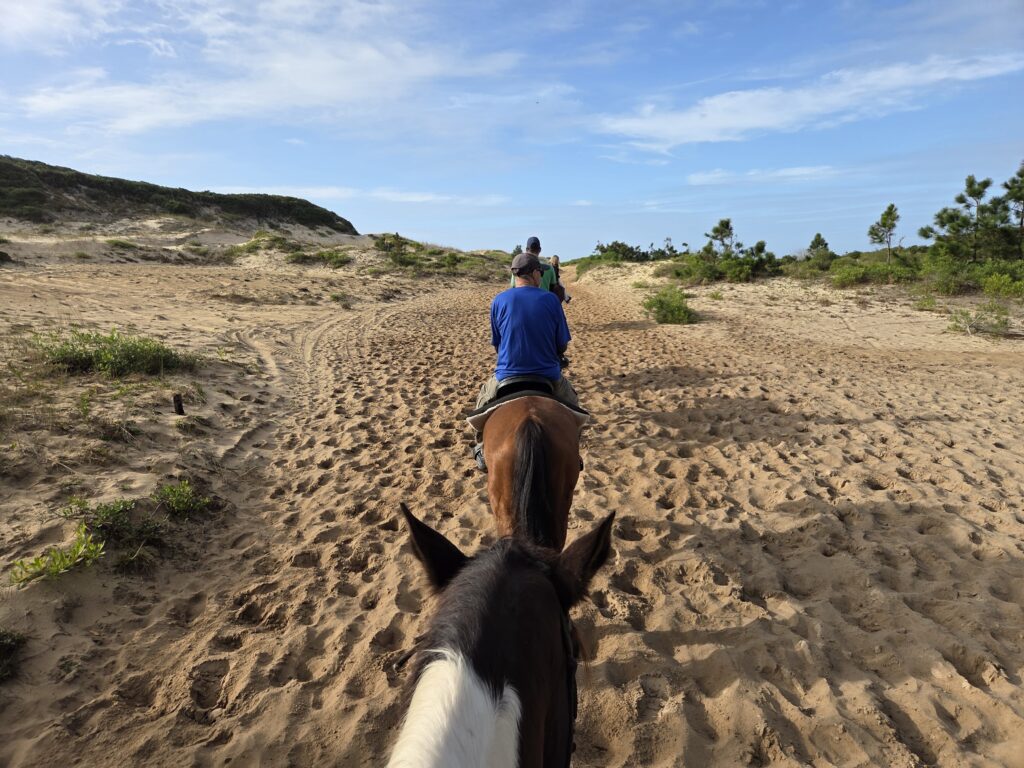 Passeio a Cavalo nas dunas Florianópolis