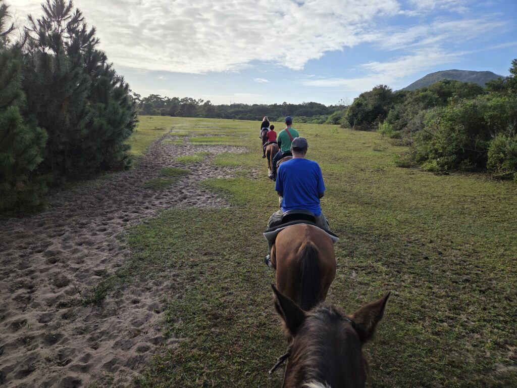 Passeio a Cavalo no campo Florianópolis