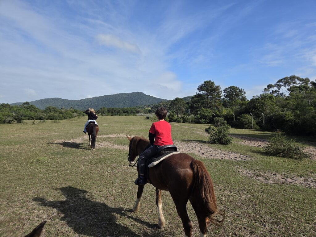 Passeio a Cavalo no campo Florianópolis