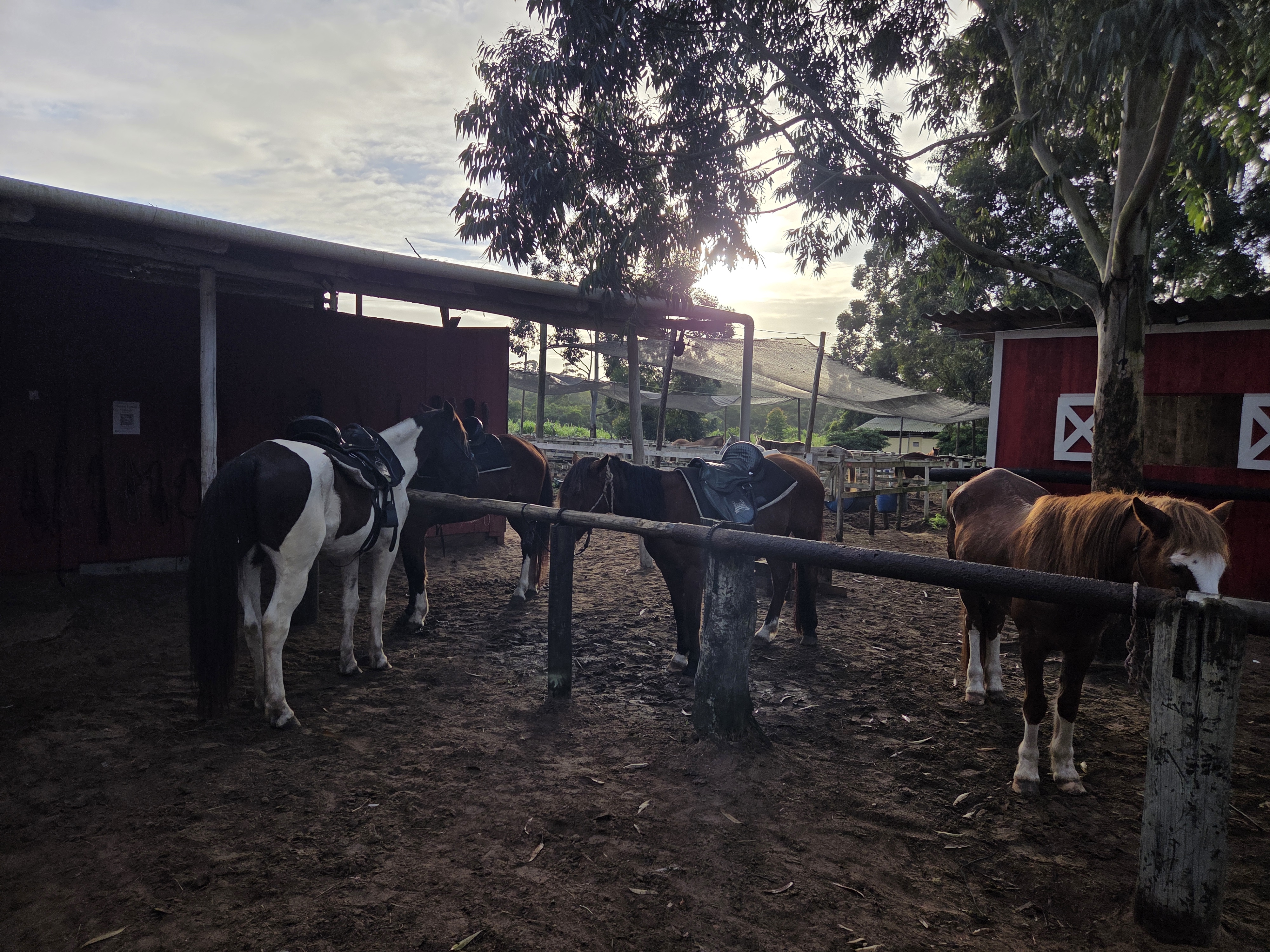 Celeiro A Cavalo Floripa