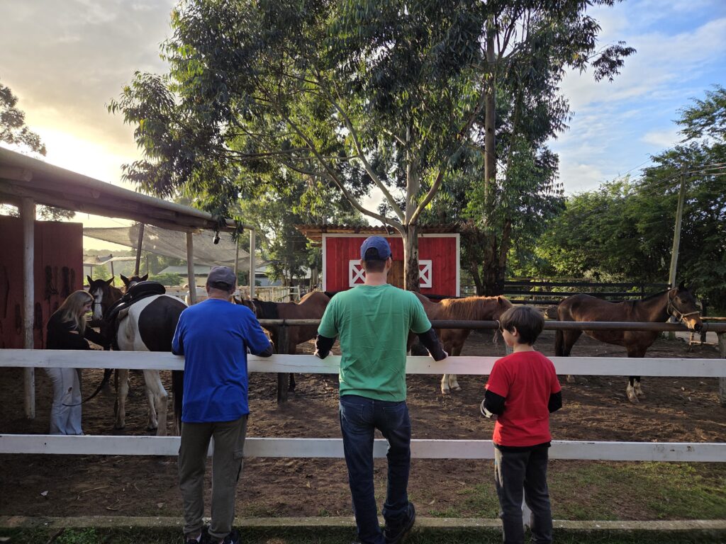 Celeiro A Cavalo Floripa