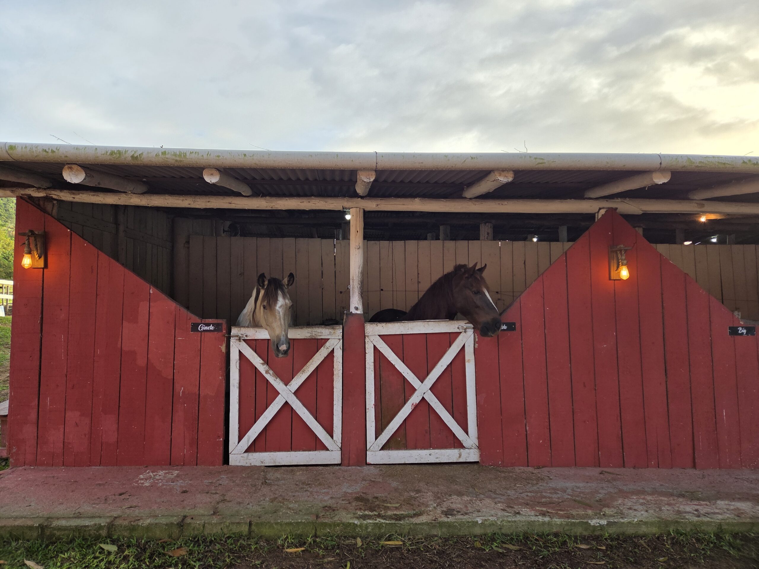 Celeiro A Cavalo Floripa