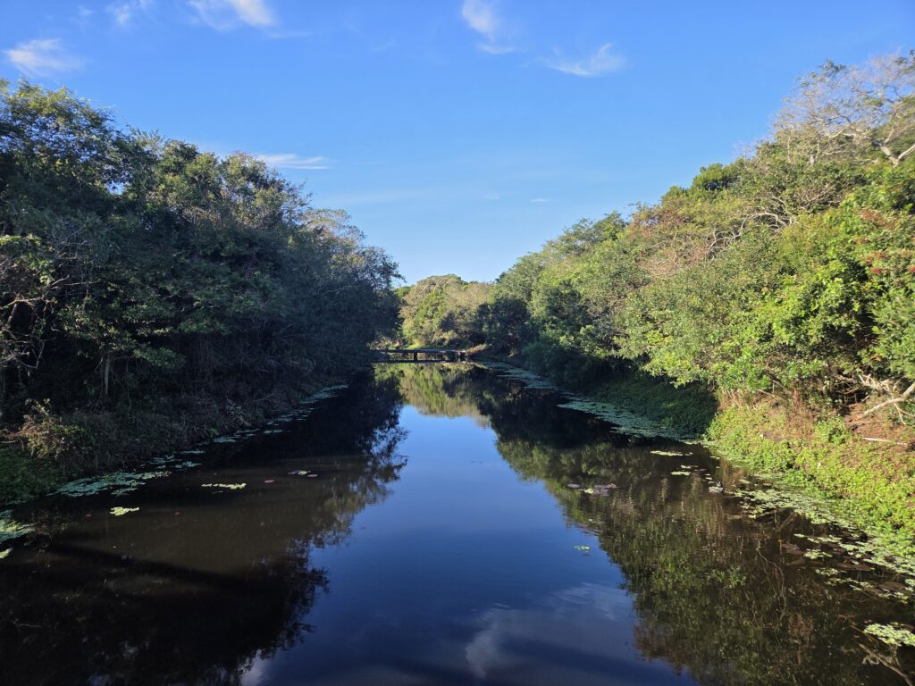 Parque Péricles de Freitas Druck Jurerê
