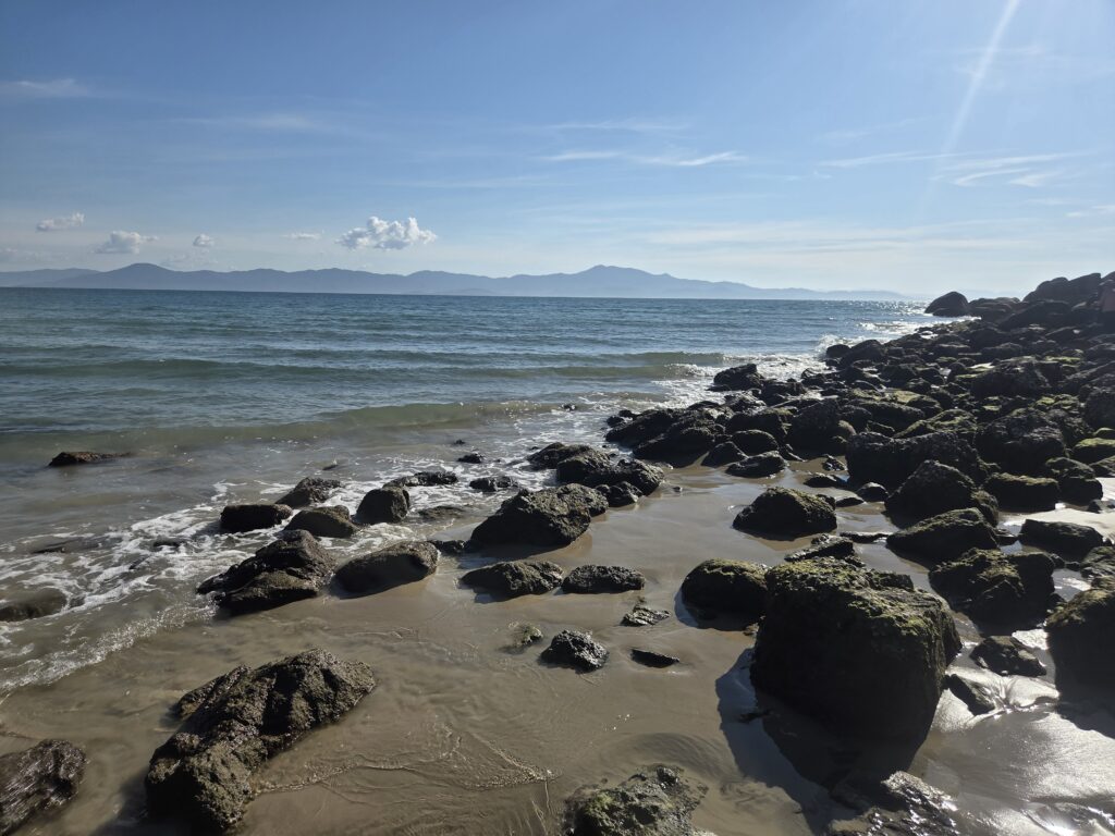 Ponta das Canas Florianópolis