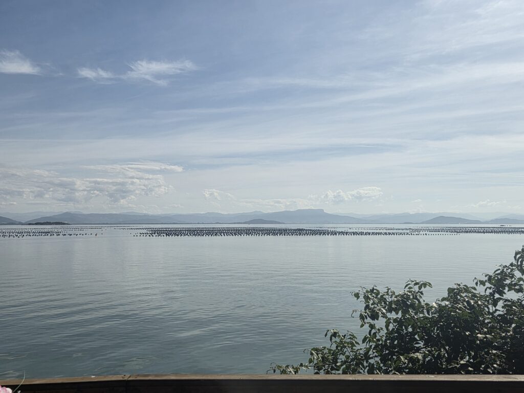 Ribeirão da Ilha