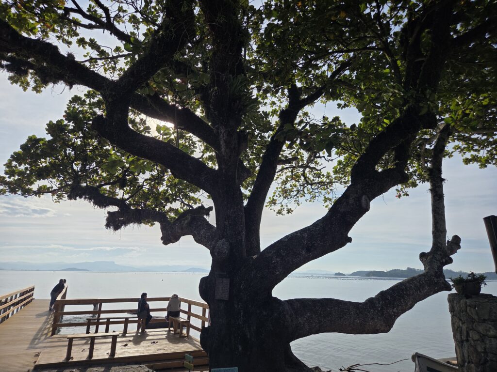 Ribeirão da Ilha