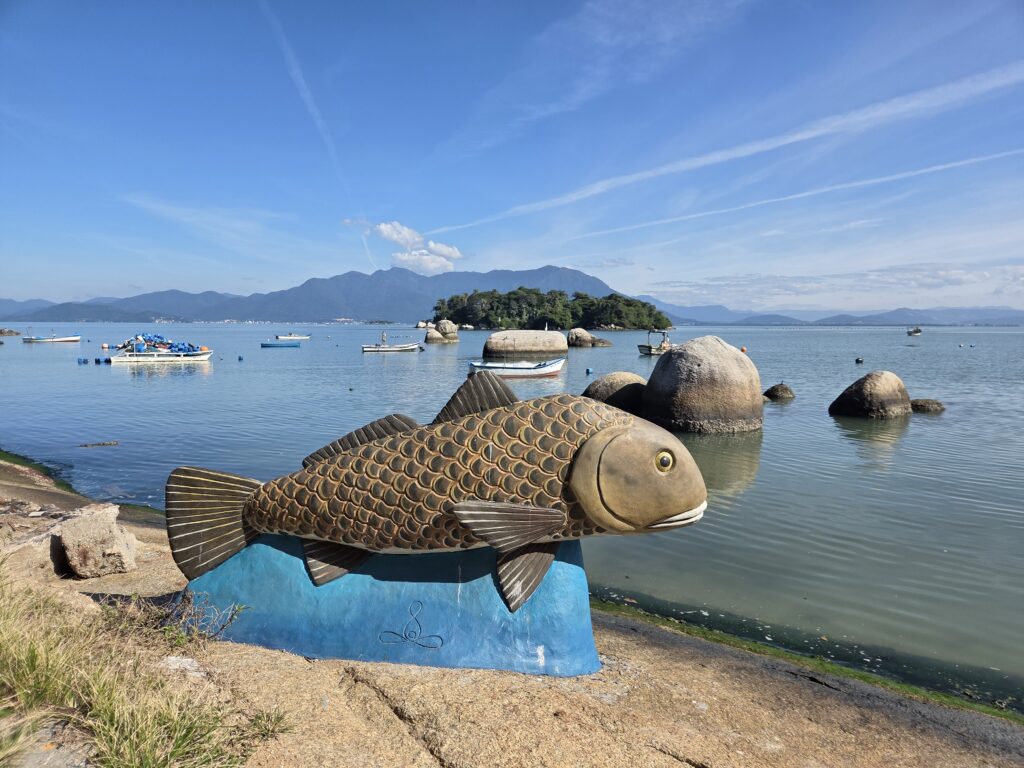 Tapera Florianópolis