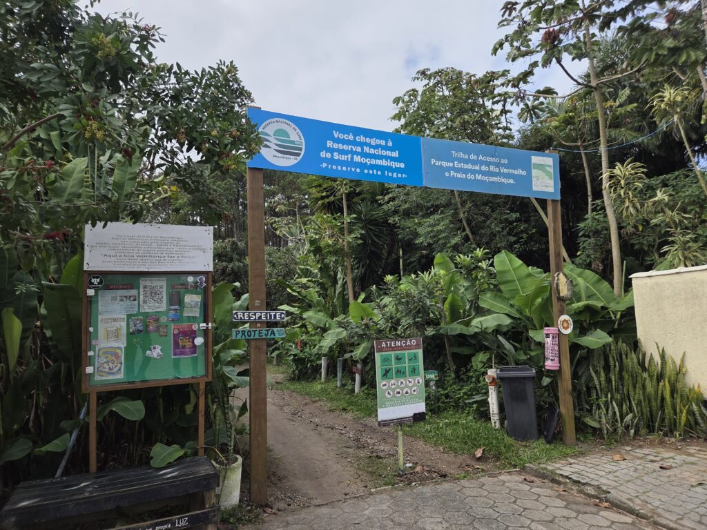 Floresta do Moçambique