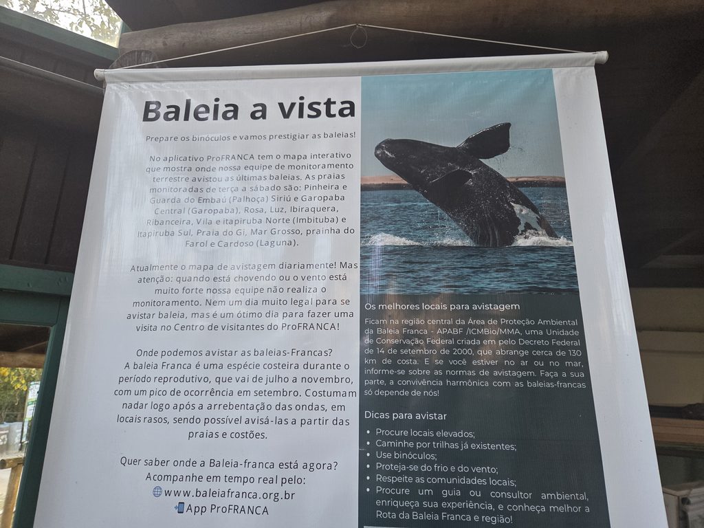 Exposição da Baleia Franca