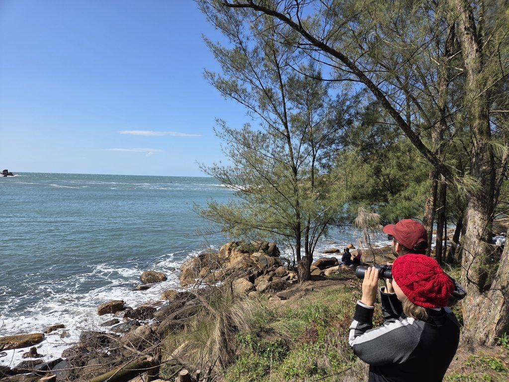 Avistando baleias na Praia da Ribanceira
