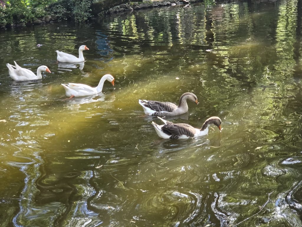 Jardim Secreto Urubici
