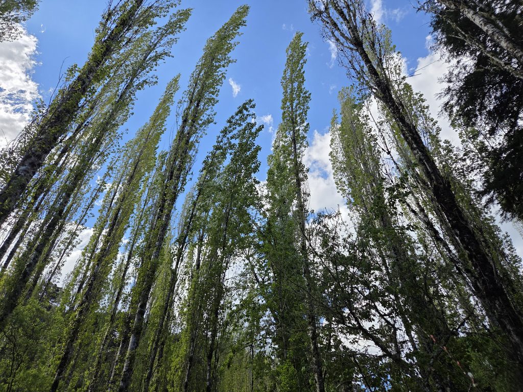 Jardim Secreto Urubici