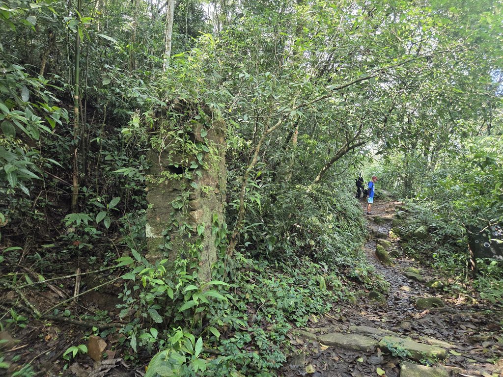 Trilha de Naufragados Floripa