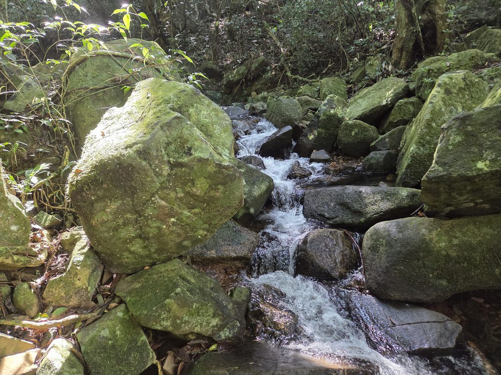 Trilha de Naufragados Floripa